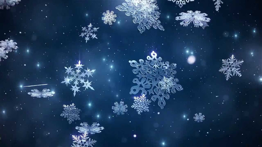 ring guards ring size reducers